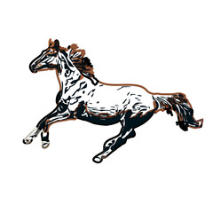 Color sketch of a horse with transparent background