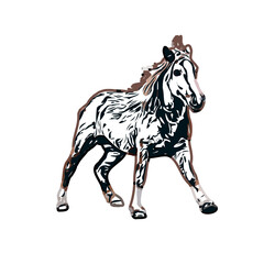 Color sketch of a horse with transparent background