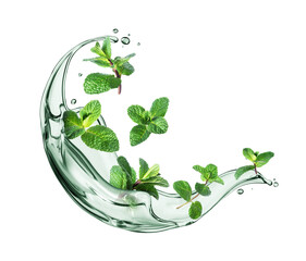 Fresh mint leaves in splashes of water isolated on white background