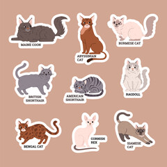 Various cat breeds sticker set, flat vector illustration isolated on brown background.