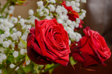 Macrophoto of a bouquet of red roses with a bokeh background.