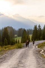Obraz premium hiking in the mountains