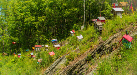 a village of bird houses on a country  hillside in Vermont
