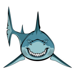 White shark. Vector illustration of a largest predatory fish. Angry scary smile and teeth.