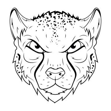 Cheetah. Vector illustration of a sketch african wild animal. Acinonyx jubatus