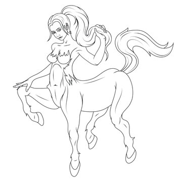Centaur girl. Vector illustration of a sketch female centaur knight. Fantastic medieval lady centaur. Half horse half woman.