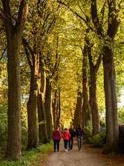 Fototapeta premium walk in the park