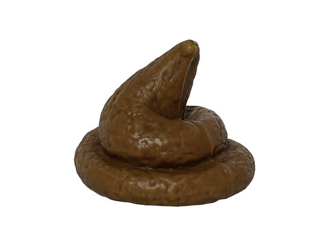 fake poop