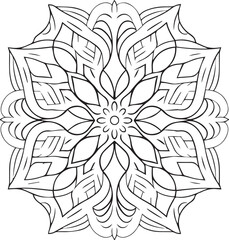 Fototapeta premium black and white spider