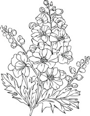 Delphinium isolated, hand-drawn floral element. vector illustration bouquet of larkspur, sketch art beautiful delphinium july birth flower tattoo, coloring page for adults, vintage delphiniun drawing,