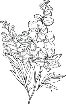 botanical delphinium drawing, isolated larkspur flower line art black and white clipart, tattoo simple delphinium flower drawing, simple larkspur flower drawing, july bitth flower illustrtion.