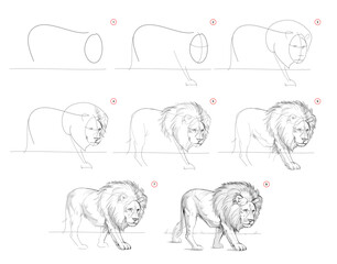 Page shows how to learn to draw from life sketch a standing lion. Pencil drawing lessons. Educational page for artists. Textbook for developing artistic skills. Online education. Vector illustration.