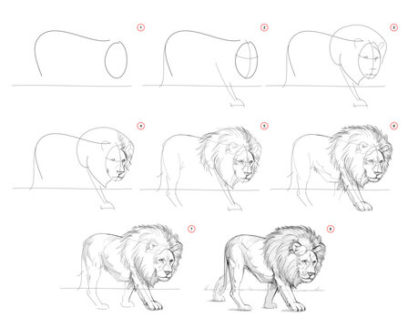 Page shows how to learn to draw from life sketch a standing lion. Pencil drawing lessons. Educational page for artists. Textbook for developing artistic skills. Online education. Vector illustration.