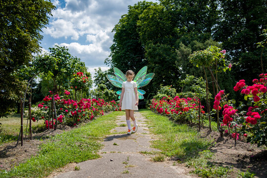 little beautiful girl in a fairy costume of butterfly with wings  having fun in roses garden on sunny summer day