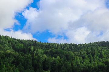 clouds over mountain forest