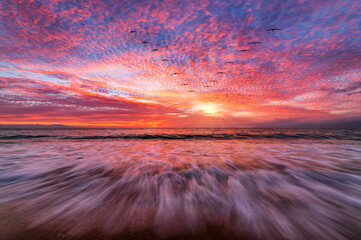 Sunset Bird Surreal Inspirational Nature Abstract