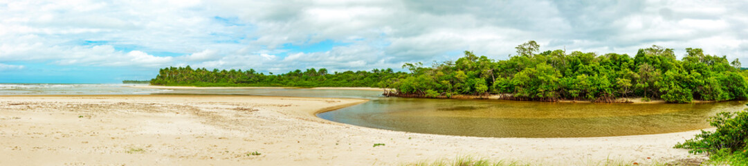 Obraz premium Winding river through forest and mangroves towards the sea at Sargi beach in Serra Grande coast of Bahia state