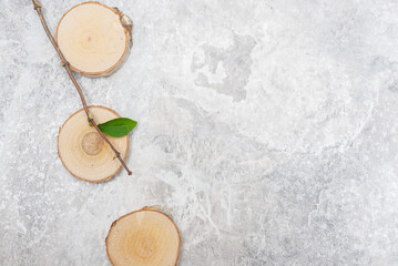 Marble background with a twig and a green leaf