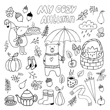 Isolated vector fall elements for coloring book or stickers.Autumn doodles.Hand drawn set of sketches: bear,hedgehog,fox,pumpkins with leaves, berries.Skarf,socks,boots.Hot tea pot and cup,mug