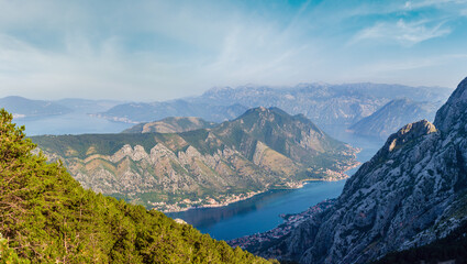 Bay of Kotor summer misty view from up with pine forest on slope (Montenegro)