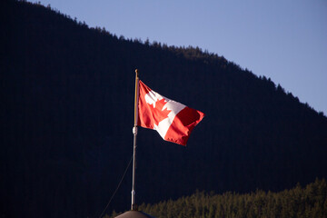 Canadian flag against sky