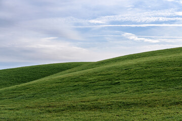 green field and blue sky