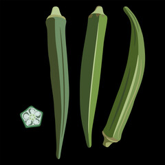 Three ripe pods or fruits of okra and one cut slice. Abelmoschus esculentus. On black background.