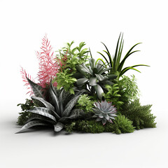 Fototapeta premium decorative plant
