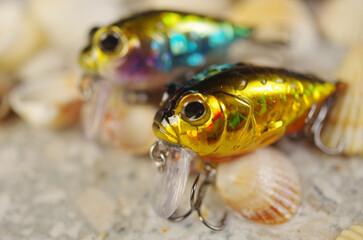 Two solid-bodied spinning baits against the background of sea stones.