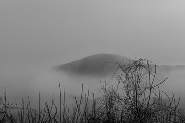 Mountain and Fog