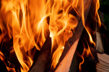 Burning firewood close-up, fire
