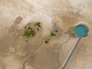 Drought, desertification, dry lakes, shepherds, sheep