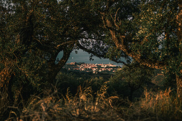 ville dans végétation