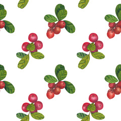 Seamless pattern with Cowberry red berries Vaccinium vitis-idaea, lingonberry, mountain cranberry. Watercolor hand drawn painting illustration isolated on white background