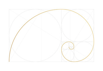 Golden ratio design template. Geometric Figure in law of golden ratio. Golden spiral, golden section, Fibonacci array, Fibonacci numbers. Vector illustration - obrazy, fototapety, plakaty