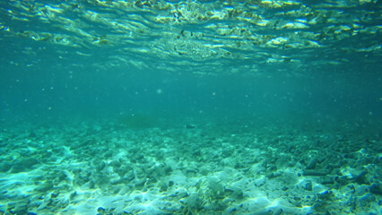 Fototapeta na wymiar under sea water background