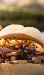 Delicious pulled pork sandwich with crunchy fries and bbq sauce.