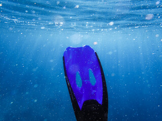 Closeup of blue fins of underwater male apnea while swimming. Bubbles of water. View from behind...