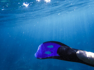 Closeup of blue fins of underwater male apnea while swimming. Bubbles of water. View from behind...