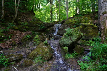 Wasserfälle im Allgäu