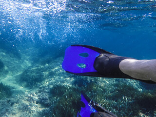 Closeup of blue fins of underwater male apnea while swimming. Bubbles of water. View from behind...