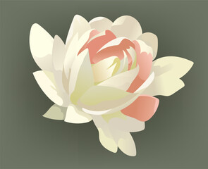 Vector flower for wedding invitation, elegant set of decorative design elements. Floral pastel vector style stock illustration - 614889068