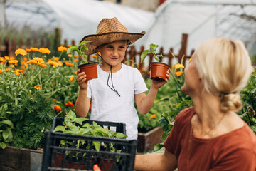 Sweet boy brings potted plants to his mother in the garden.