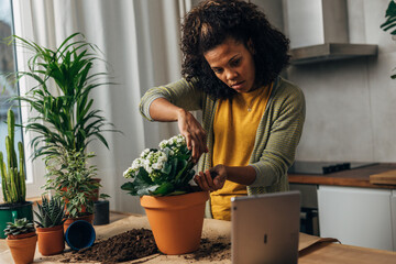 A woman is using digital tablet to learn how to properly replant houseplants.
