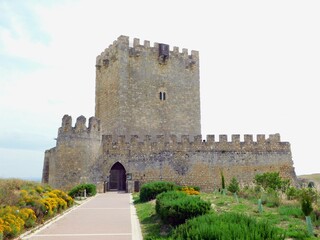 Fototapeta na wymiar Tiedra castle in Valladolid province