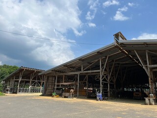 220620奈良崎牧場
牛舎
牛
乳牛
牛乳
うし