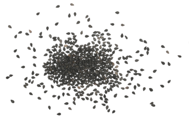 Black organic sesame seeds isolated on white background, top view