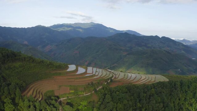 Aerial top view of fresh paddy rice terraces, green agricultural fields in countryside or rural area of Mu Cang Chai, mountain hills valley in Asia, Vietnam. Nature landscape background.