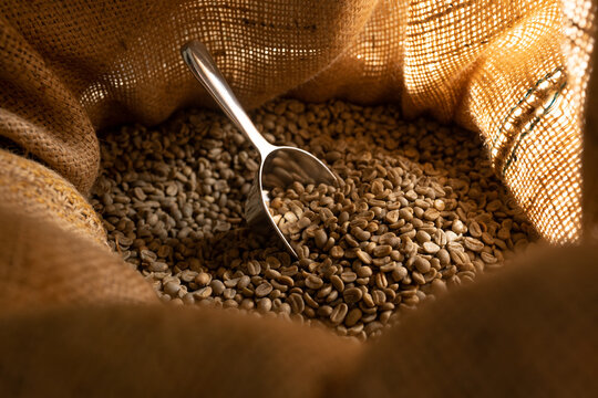 Rohe Kaffeebohnen in einem Kaffeesack mit einer Schaufel