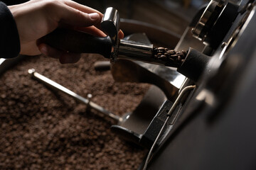 Kaffee Probenzieher wird aus Kaffeeröster gezogen und die Bohnen kontrolliert